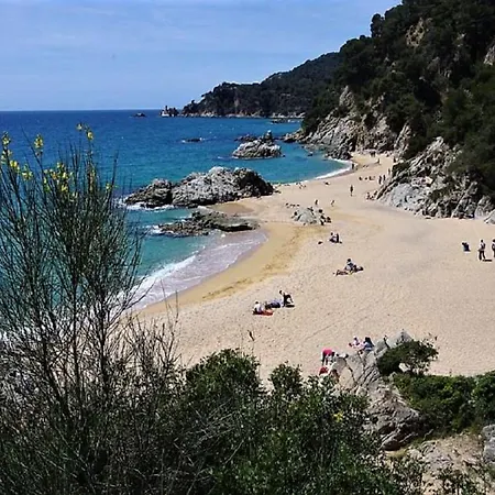 Квартира С Тремя Спальнями Напротив Парка Сады Санта Клотилда Lloret de Mar